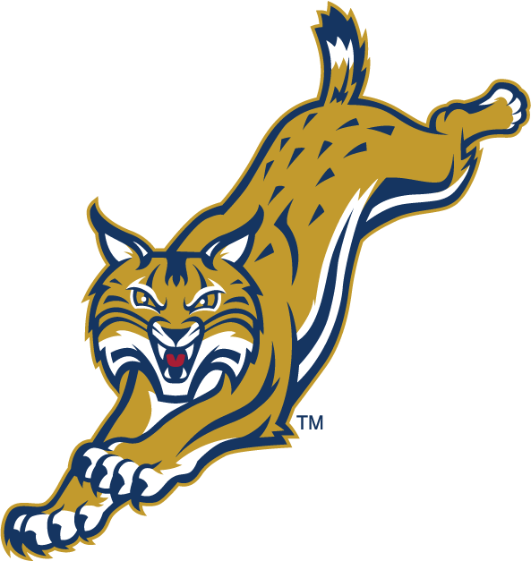 Quinnipiac Bobcats 2002-Pres Alternate Logo v6 diy iron on heat transfer
